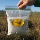 송인농장 이미지