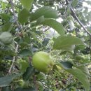 태주농장 이미지