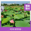 봉정 농촌체험 휴양마을 이미지