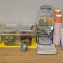문정역 파스타 맛집 고급양식 문정본점 후기
