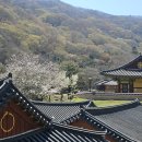 조각미인 | [나주 여행] 봄에 떠나는 고즈넉한 산사 여행, 나주 불회사