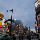 스스키노 - 강남구 논현로149길 64 | 스스키노