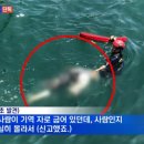 백골 MBN