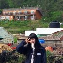 가마봉민박 티스토리