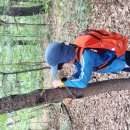 안현초등학교 이미지