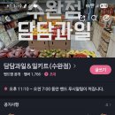 담담과일