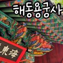 황금돼지동상 | 부산 기장 해동용궁사 후기 - 바다 위 용궁에서 만난 신비로운 순간