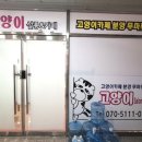 고양이살롱앤카페 이미지