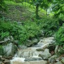 선우공원 생태연못 화장실 이미지