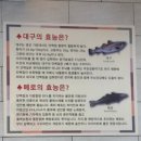 장가네대구왕뽈떼기 이미지