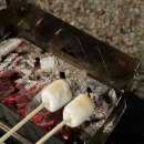 더 캠프 스테이 이미지