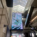 라떼멍살롱 | 25년 9월 신혼일기