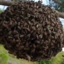 양달농장 이미지