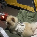 태안둘레길캠핑장 이미지