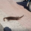 남강주유소 이미지