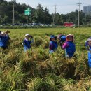 월호동 주민자치센터 이미지