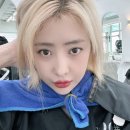 오로라 애견미용샾 | 신논현 헤어샾 샵오오티디, 블랙빼기미용실이자 탈색미용실 추천 후기