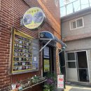 태양식품 | 울릉도 태양식당 따개비칼국수 후기 ｜ 따개비죽, 오징어초무침까지 완벽했던 한 끼
