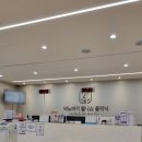 웰니스동물병원 롯데월드점 | 역삼 '바노바기 웰니스 클리닉' 상담 후기, 고용량 비타민C 요법 알아보고 왔습니다