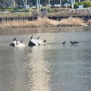 갈맷길(8코스) 이미지