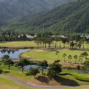 델피노숲 이미지