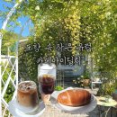 포항 카페아이딜릭 목향장미가 가득한 유럽풍 카페