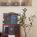 티아공인중개사사무소 이미지