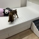 화인시스템(주) | 에피소드수유838 1년 거주 후기(+퇴거 절차)