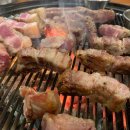 흑도리