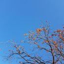 하촌마을회관 이미지