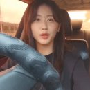 100% 실제상황.. 고속도로에서 후진 + 핸드폰 보는 아프리카 여성 BJ 적발 .... gif 이미지