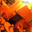 별빛소나타 이미지