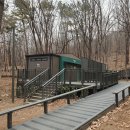 노원골유아숲 이미지