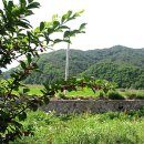 행복그자리 이미지