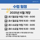 폴리매스아이