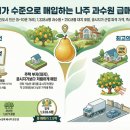 자연랜드공인중개사사무소 이미지