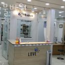 아름마을.방아다리사거리 | 성남 이매동 동물병원 이매동물병원 진료시간 접근성 이용후기