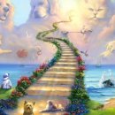 리멤버파크 이미지