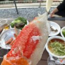 속초대게맛집 크랩인해담지에서 맛있는 대게 먹고왔어요