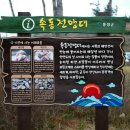 속동전망대 네이버블로그
