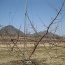 부농농약사 이미지