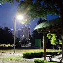 시민체육공원 인라인스케이트장 이미지