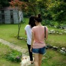 오목골 목장 이미지