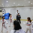수 태권도장 네이버블로그