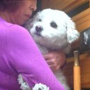 신동농장 이미지