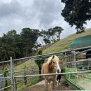 대구삼성어린이집 이미지