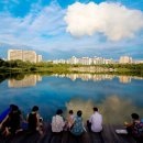 도심속의 평화 이미지