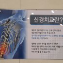 일산남다른마취통증의학과의원 이미지