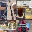 중동카페] 창원중동 신상대형카페, 브릭커스커피 내돈내산 후기 (대형리본트리 포토존, 단체석 룸완비)