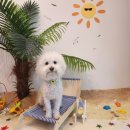 삐약네 새참 이미지